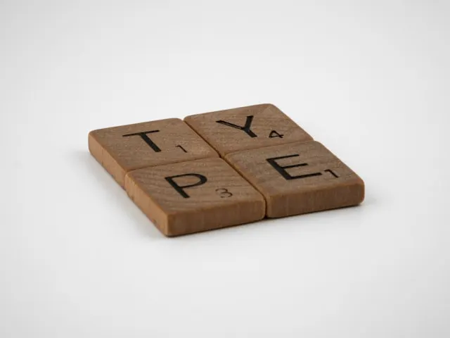 rust type system overview